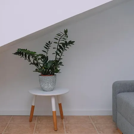 Ideal En Primeira Linea De Playa By * Cangas do Morrazo